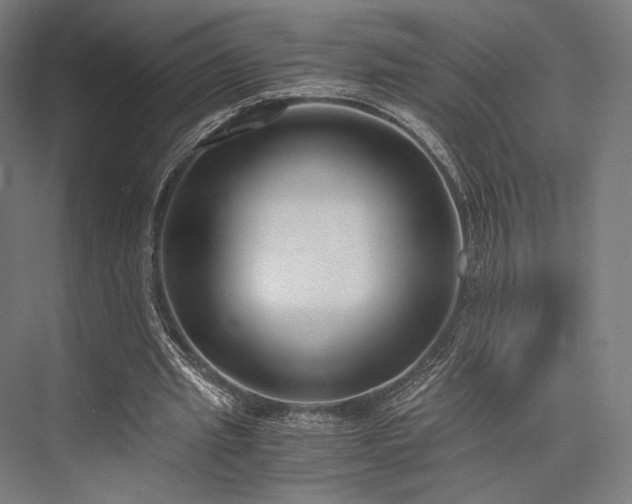 X0000076390437200610061155