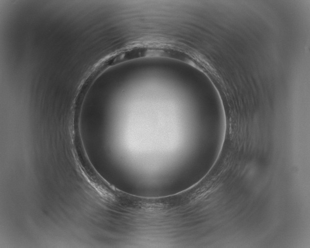 X0000076390438200610061155