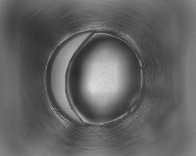 X0000076390439200610061155