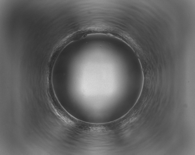 X0000076390446200610061155