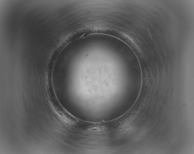 X0000076390447200610061155