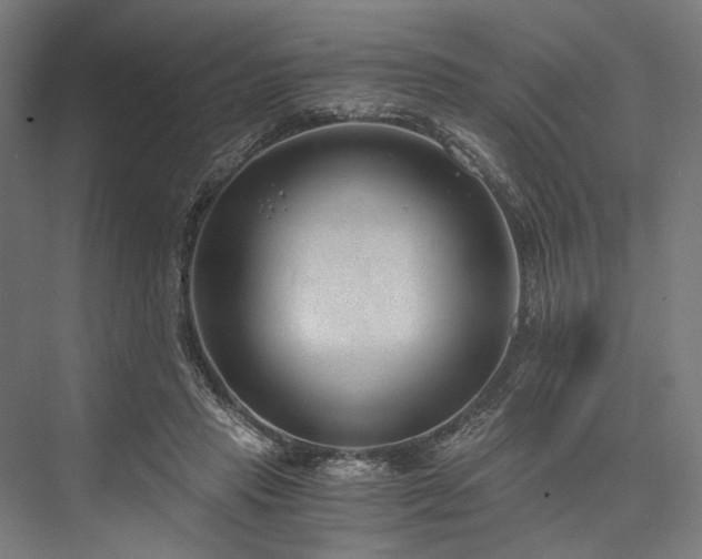 X0000076390453200610061155