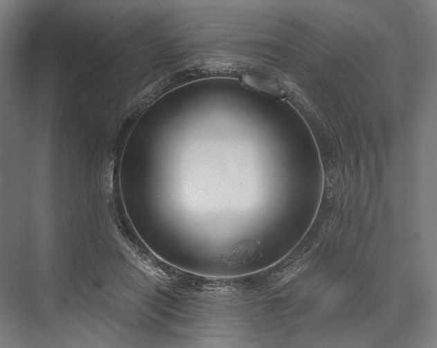 X0000076390454200610061155