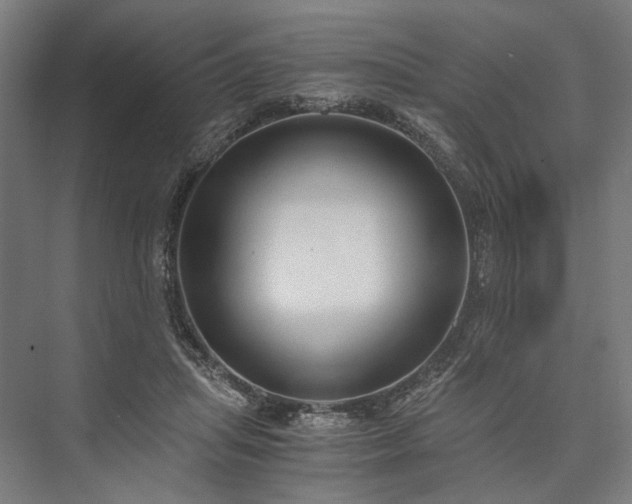 X0000076390455200610061155