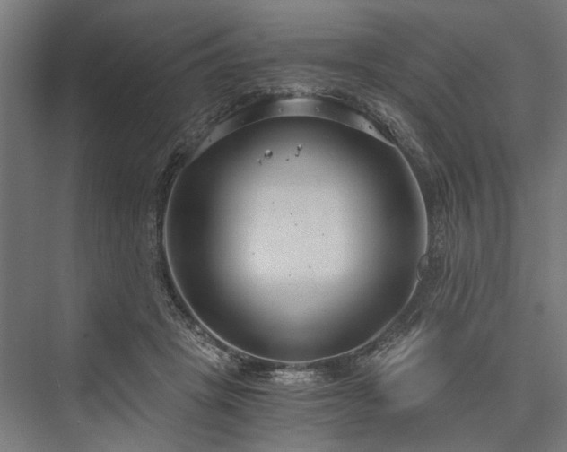 X0000076390457200610061155