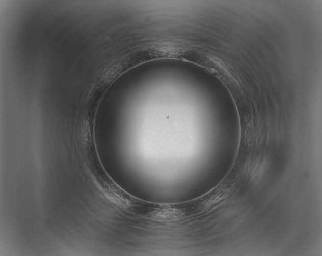 X0000076390459200610061155