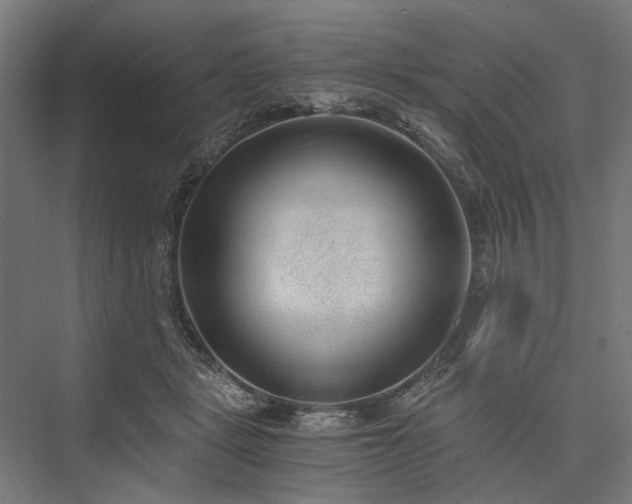 X0000076390461200610061155
