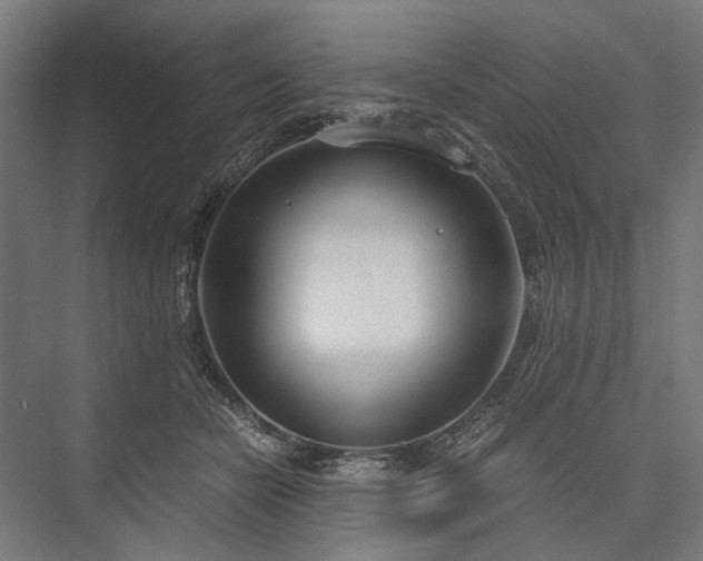 X0000076390462200610061155