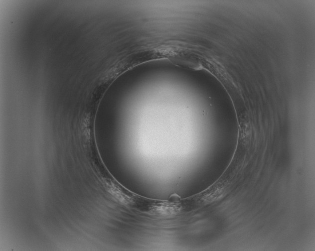 X0000076390466200610061155