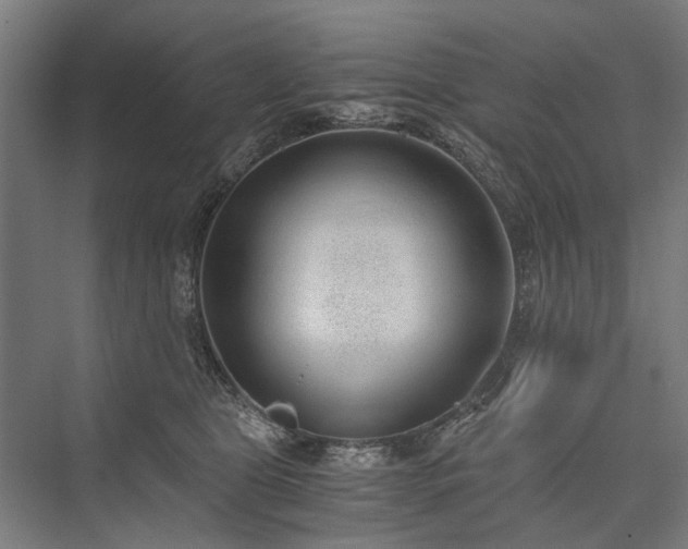 X0000076390469200610061155