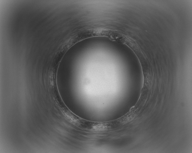 X0000076390470200610061155
