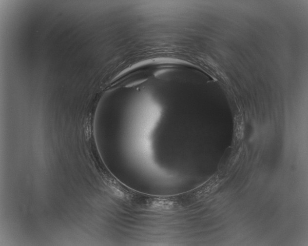 X0000076390471200610061155