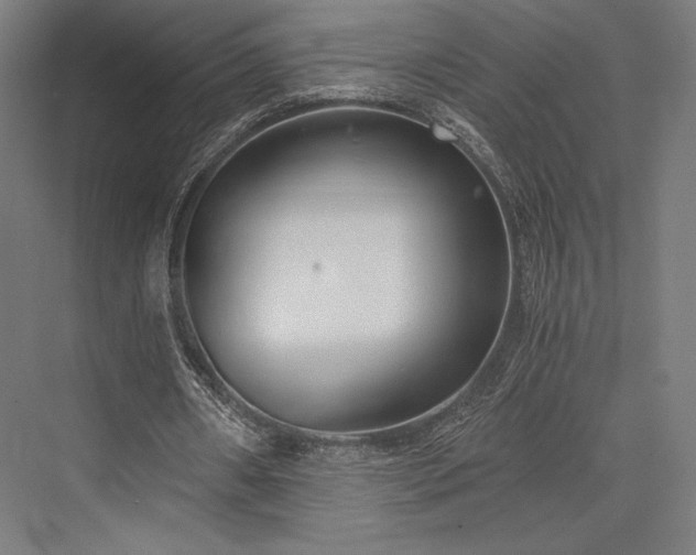 X0000076390482200610061154