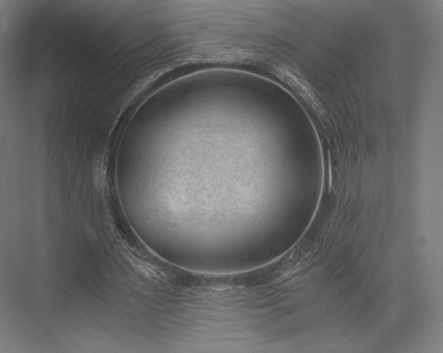 X0000076390483200610061154