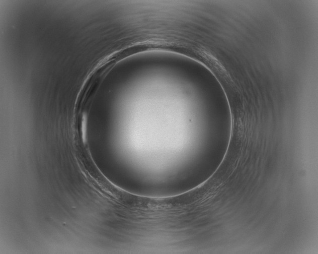 X0000076390484200610061154