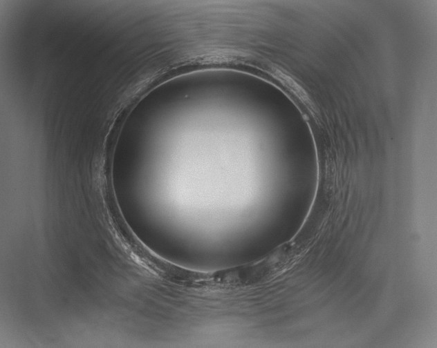 X0000076390485200610061154