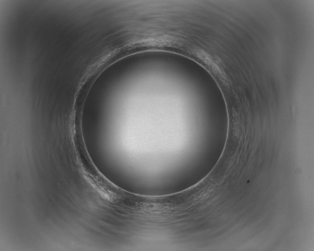 X0000076390486200610061154