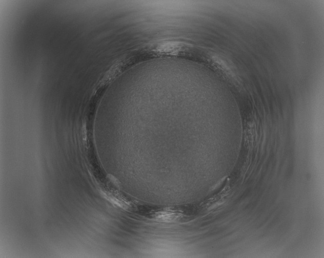 X0000076390504200610061154