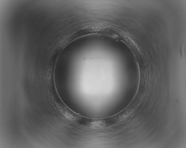 X0000076390505200610061154