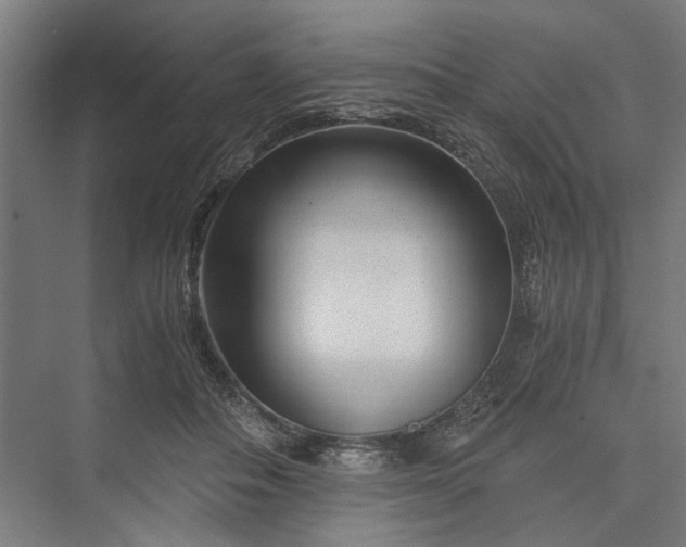 X0000076390506200610061154