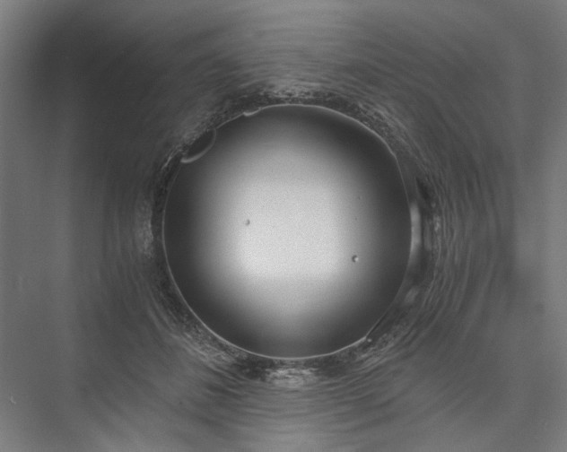 X0000076390508200610061154