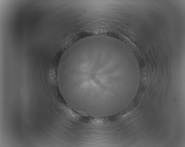 X0000076390523200610061154