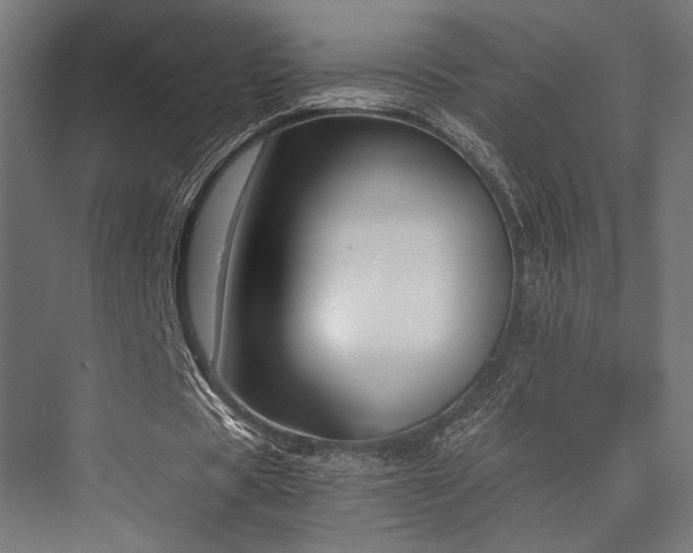 X0000076390529200610061153