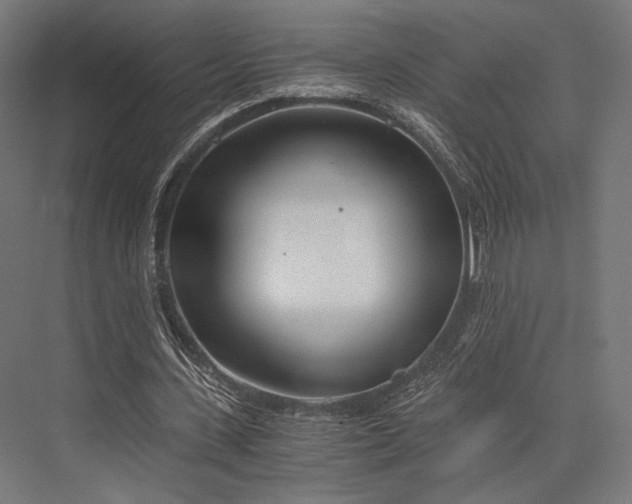 X0000076390531200610061153