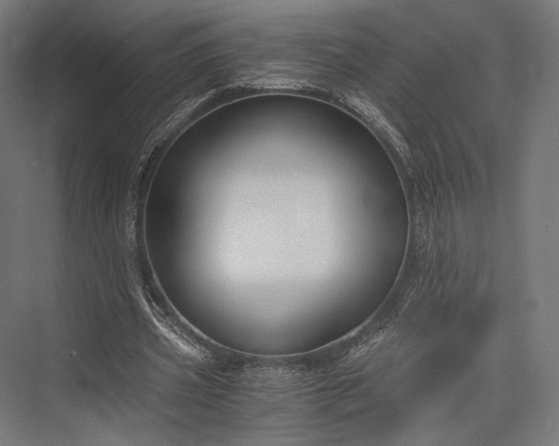 X0000076390533200610061153