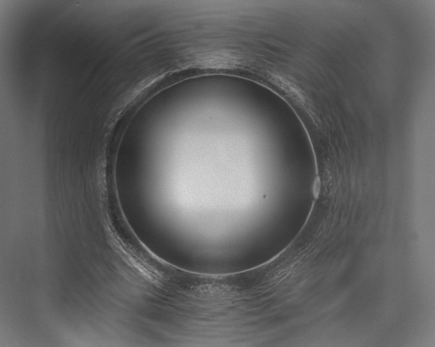 X0000076390535200610061153
