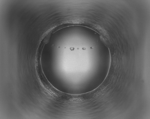 X0000076390536200610061153