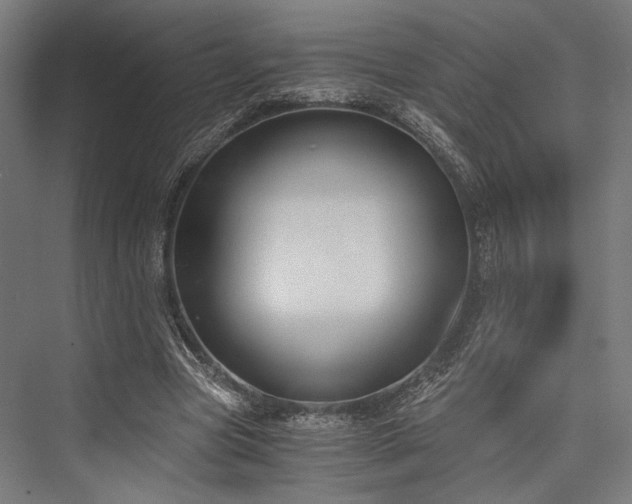X0000076390537200610061153