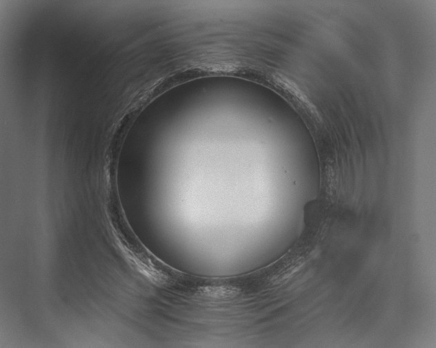 X0000076390541200610061153