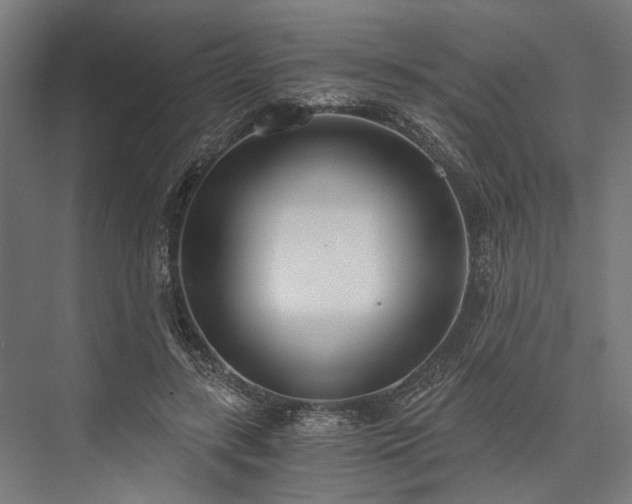 X0000076390547200610061153