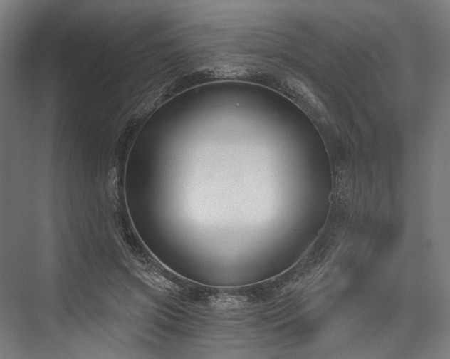 X0000076390549200610061153