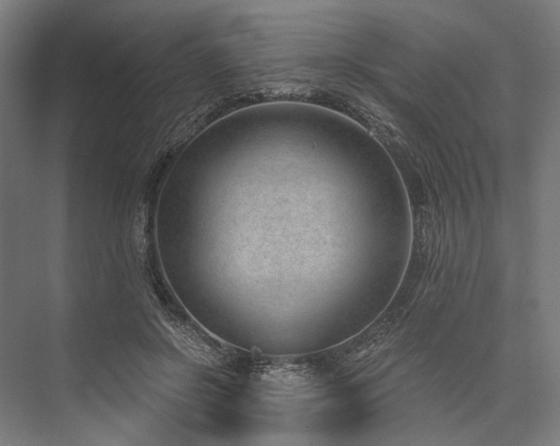 X0000076390550200610061153
