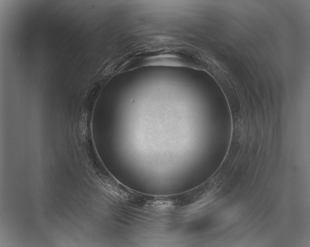 X0000076390554200610061153