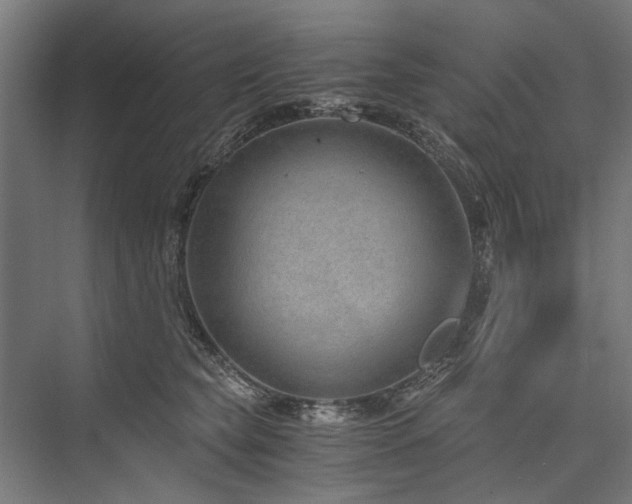 X0000076390565200610061153