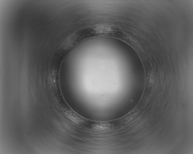 X0000076390567200610061153