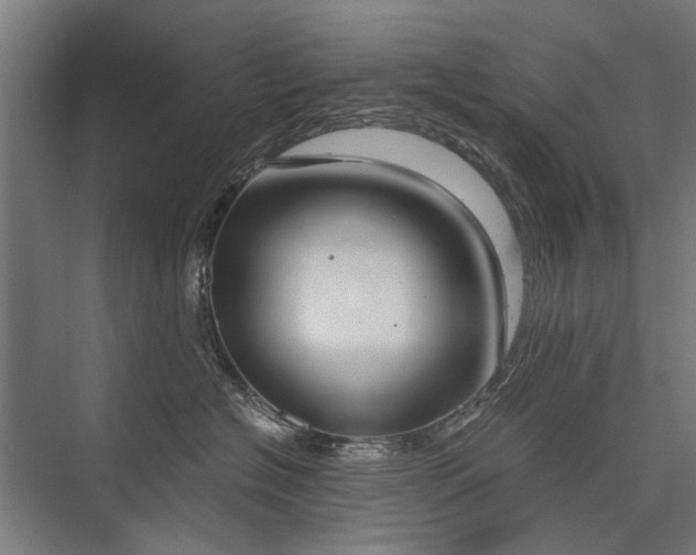 X0000076390574200610061154