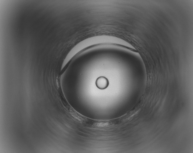 X0000076390575200610061154