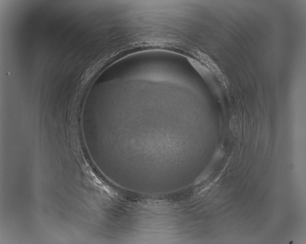 X0000076390577200610061153