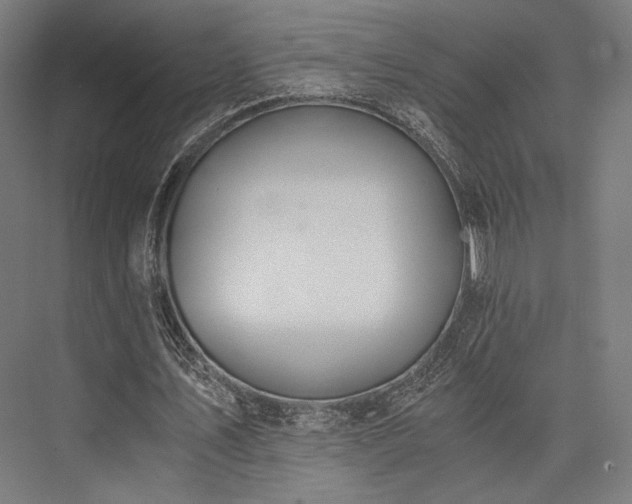 X0000076390579200610061153