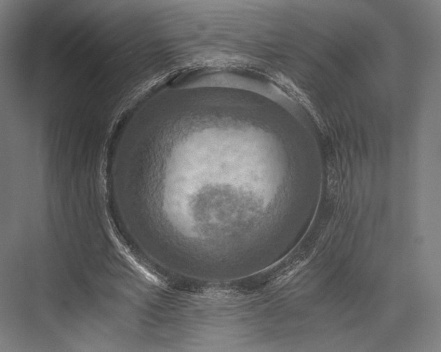 X0000076390581200610061153