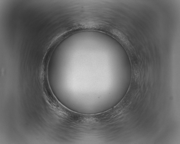 X0000076390583200610061153
