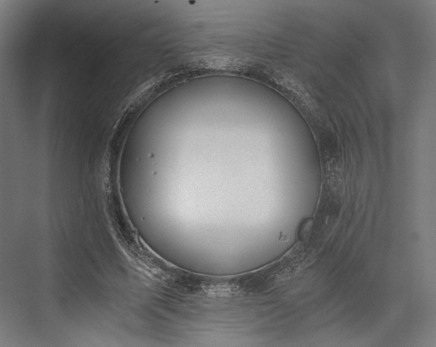 X0000076390587200610061153