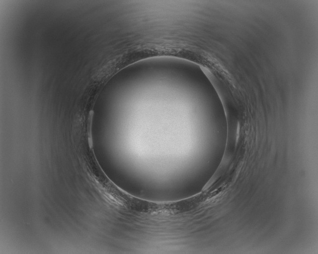 X0000076390593200610061153