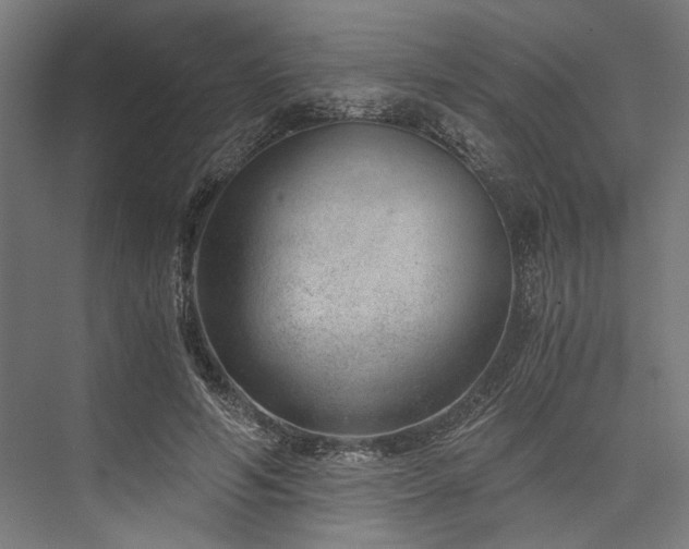 X0000076390594200610061153