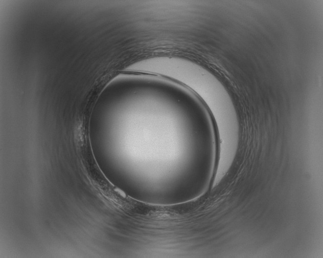 X0000076390597200610061152