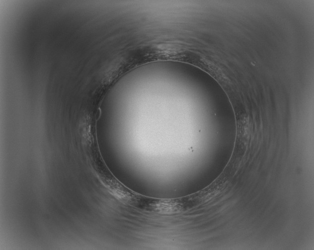 X0000076390615200610061152